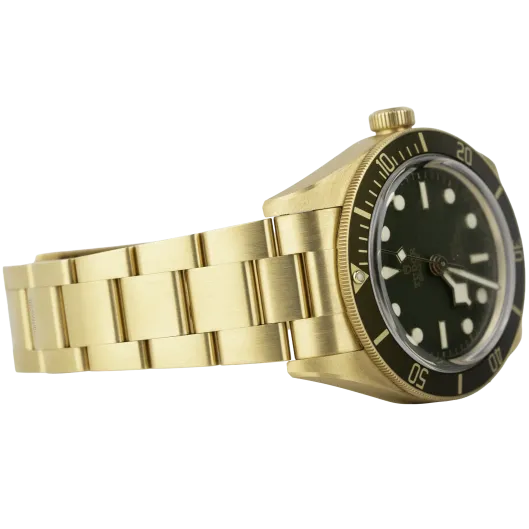 Tudor Black Bay 58 Yellow Gold Green Dial (3)
