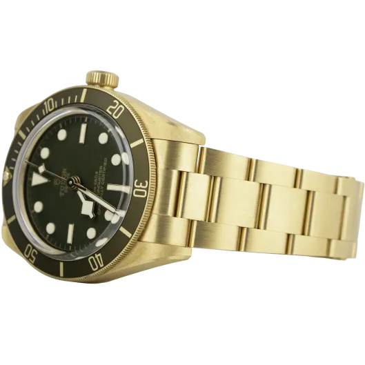 Tudor Black Bay 58 Yellow Gold Green Dial (4)