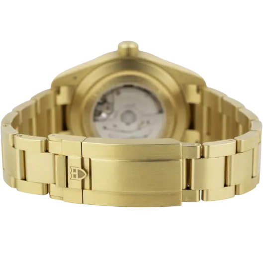 Tudor Black Bay 58 Yellow Gold Green Dial (5)